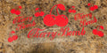 Cherry Bomb