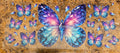 butterflies