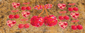 cherries